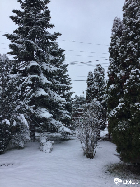 Észlelési fényképek