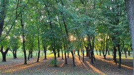 csokolade19 fotója