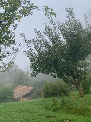 Bakonybél