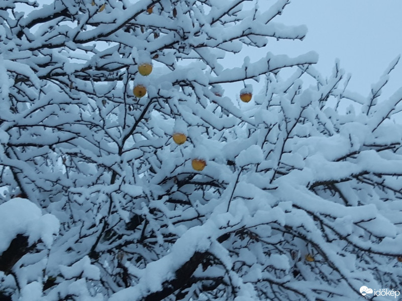 Észlelési fényképek