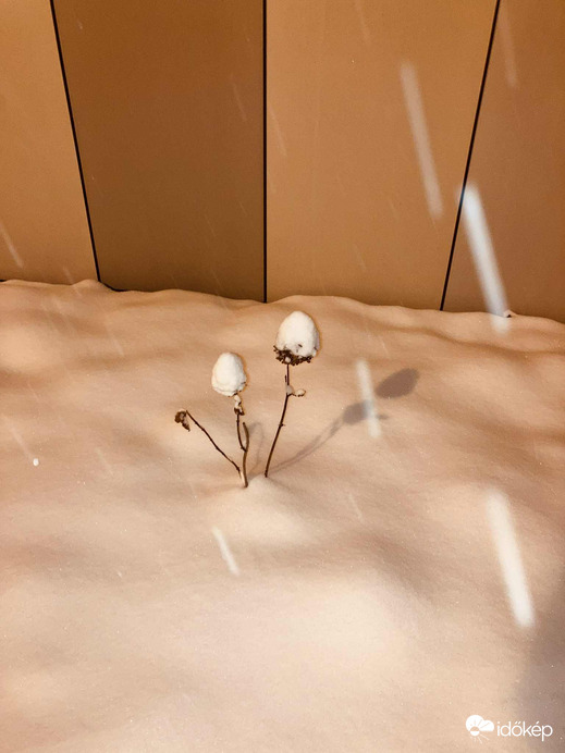 Budapest X.ker - Kőbánya