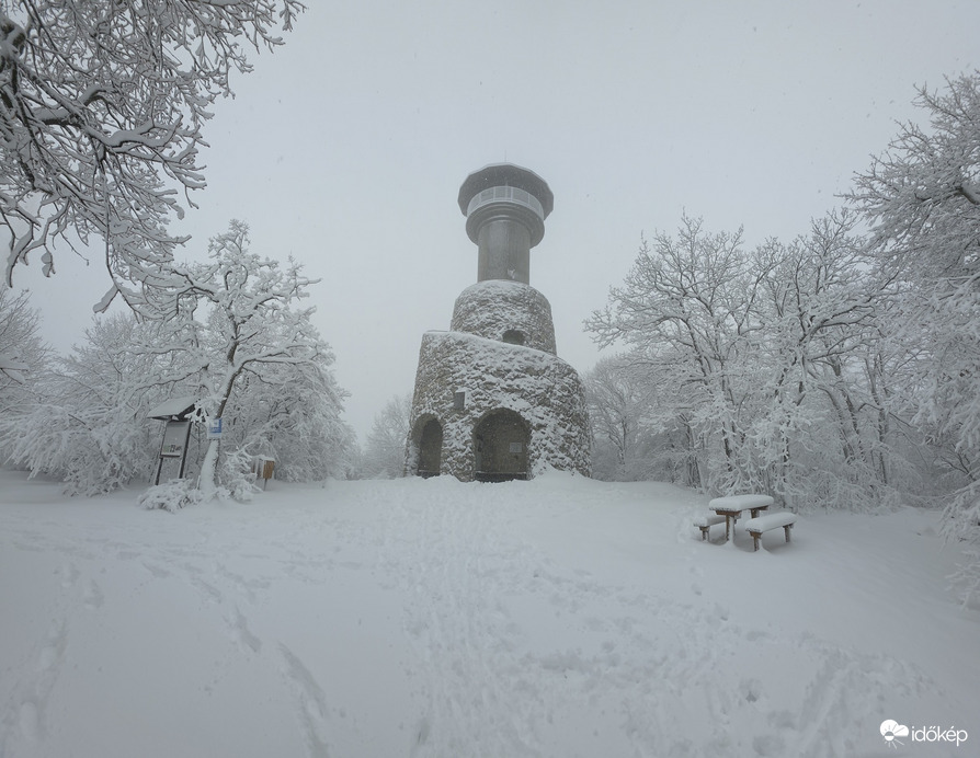 Észlelési fényképek