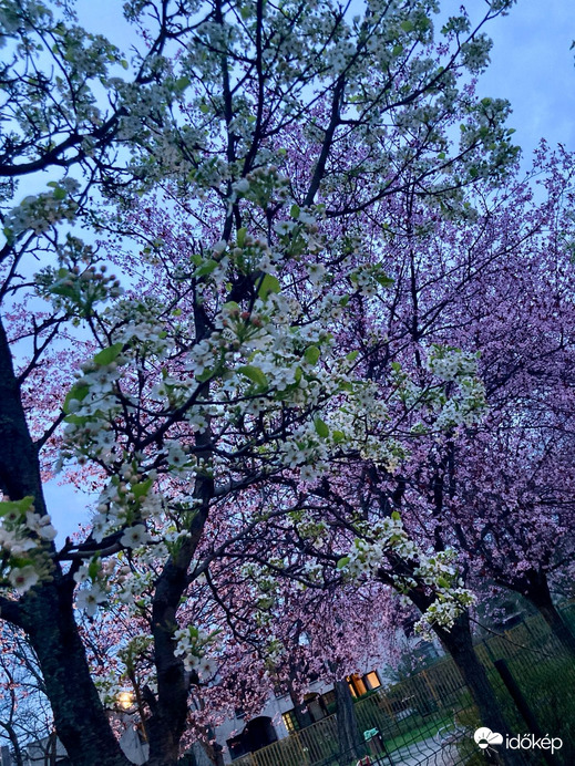 Budapest IV.ker - Újpest