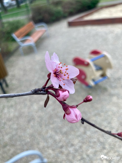 Budapest IV.ker - Újpest