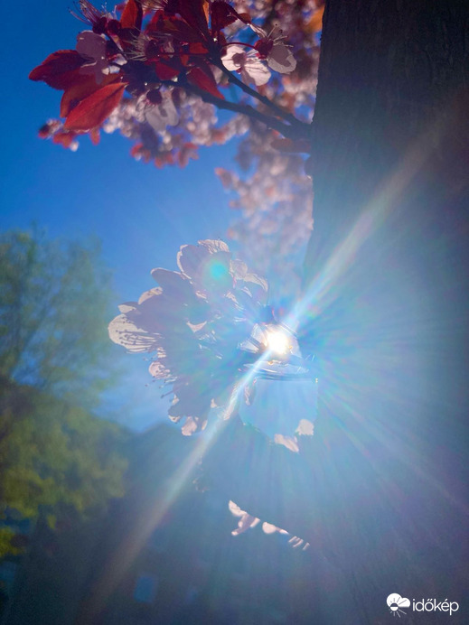 Budapest IV.ker - Újpest