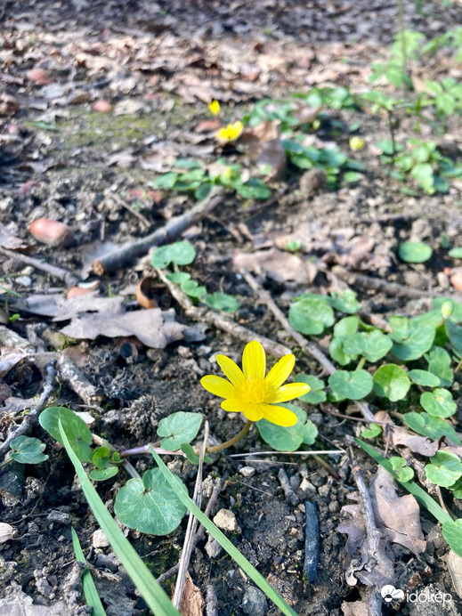 Budapest III.ker - Óbuda