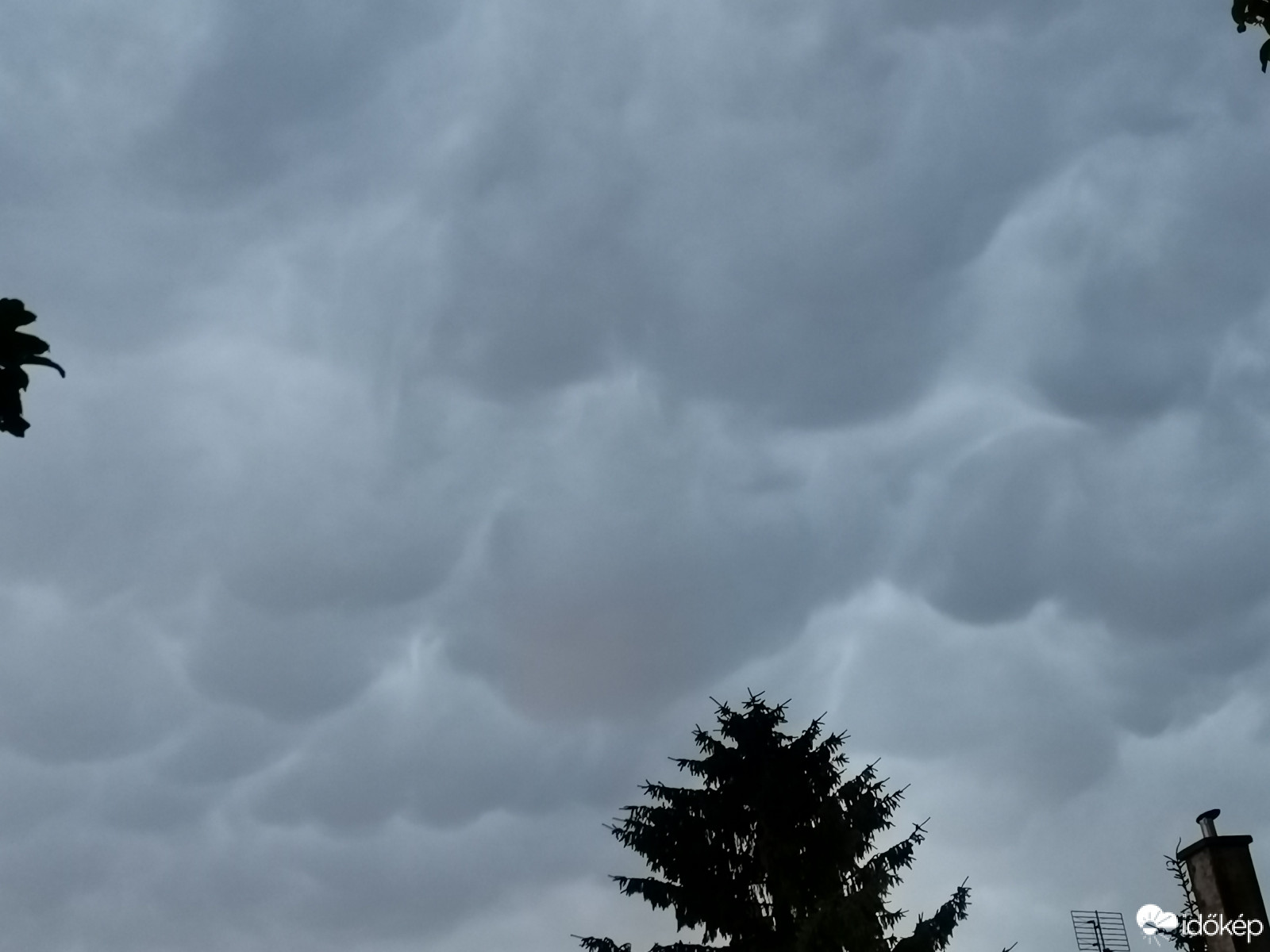 Észlelési fényképek