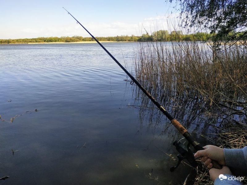 Tavaszi horgászat a Tisza-tavon