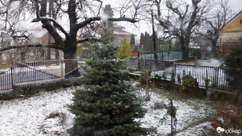 Észlelési fényképek