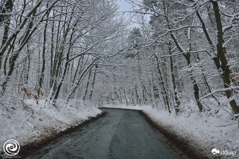 Hármashatárhegyi út