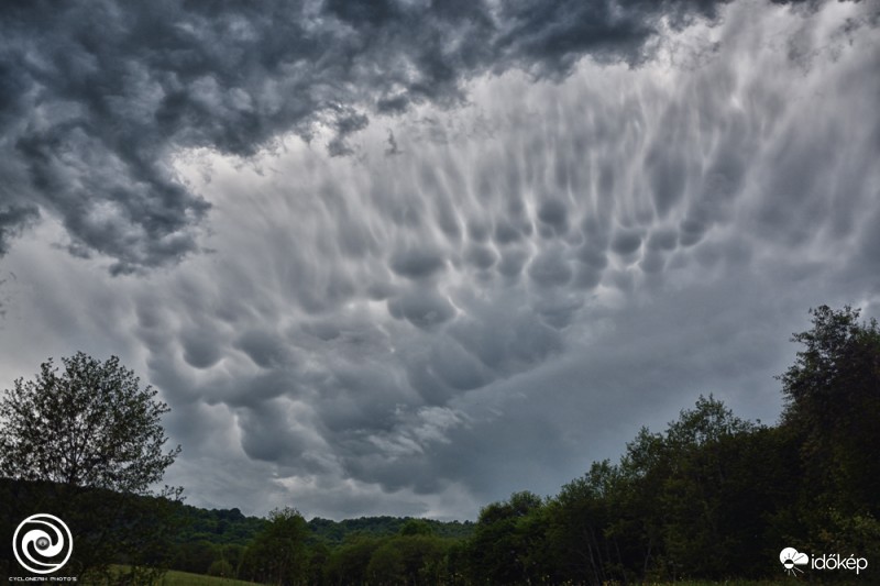 Mammatus