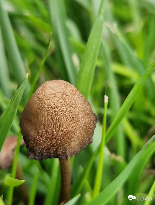 Az elmúlás textúrája