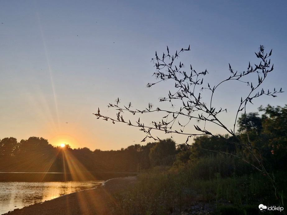 A lemenő nap sugarai