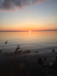 Tihany