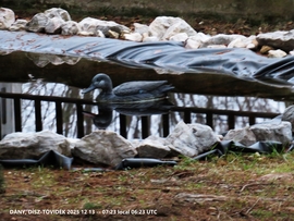 DÍSZ-TÓVIDÉK EGY HIDEG REGGELEN