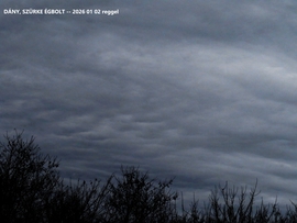 DÁNY_szürke reggel