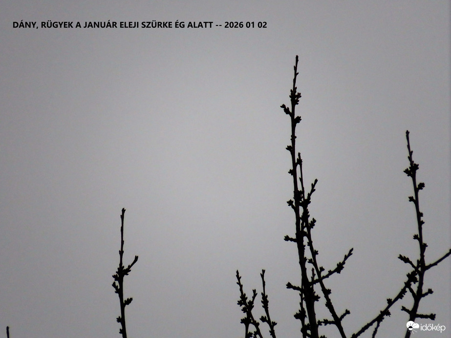 DÁNY_éled a természet