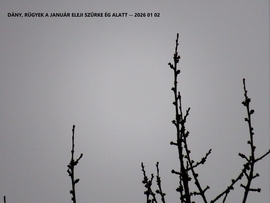 DÁNY_éled a természet