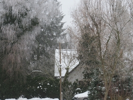 DÁNY, A TÁVOLBAN EGY FEHÉR HÁZTETŐ -- 2026 01 15 reggel