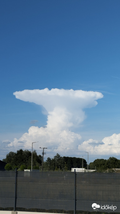 Észlelési fényképek