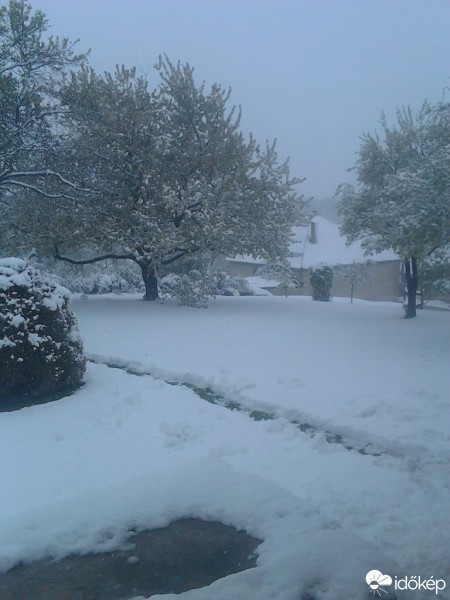 Észlelési fényképek