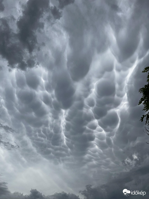 Mammatus 