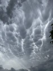 Mammatus 