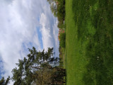 Szombathely