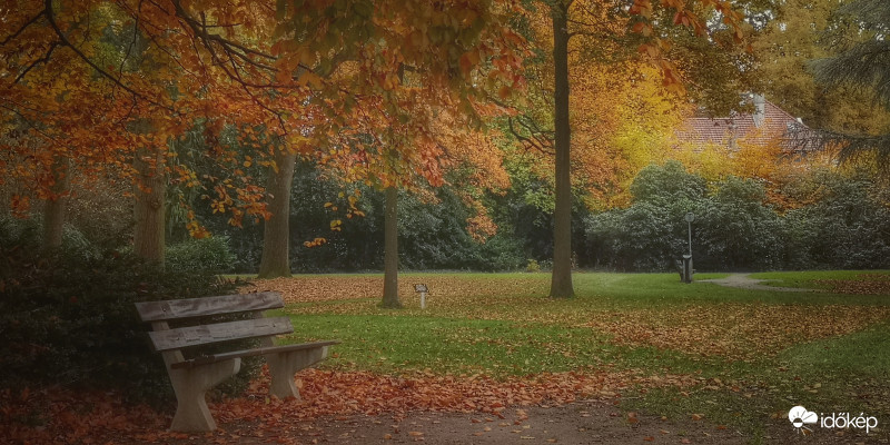 Novemberi ősz