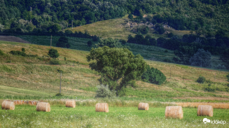 Nyári sugallat