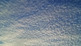 Cirrocumulus