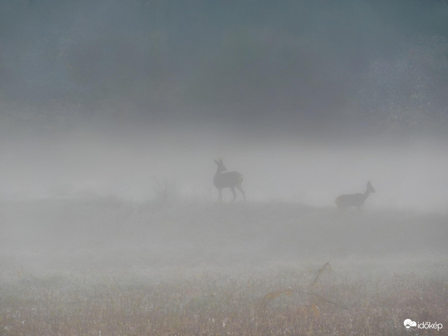 Párás, ködös ébredés 10.08
