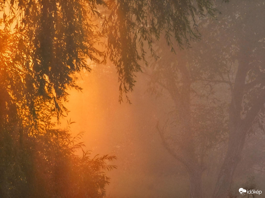 Párás, ködös napkelte 10.08