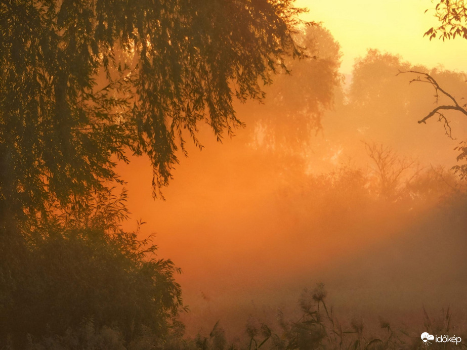 Párás, ködös napkelte 10.08