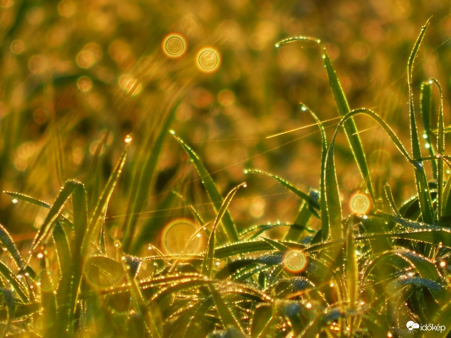 Párás, ködös napkelte 10.08