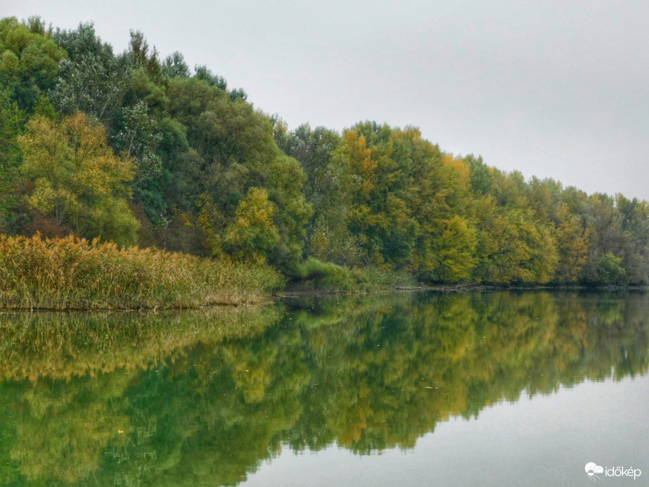 Őszi tükörkép a Szigetközből!