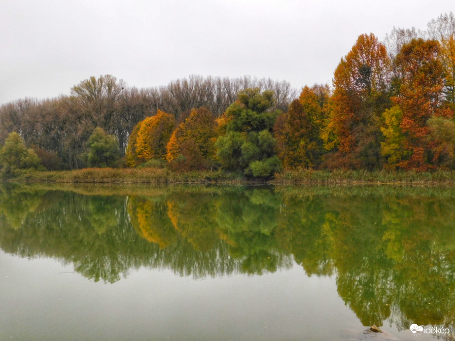 Őszi tükörkép a Szigetközből!