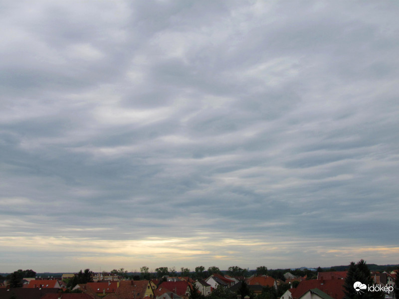 Undulatus asperatus Pécs Ny