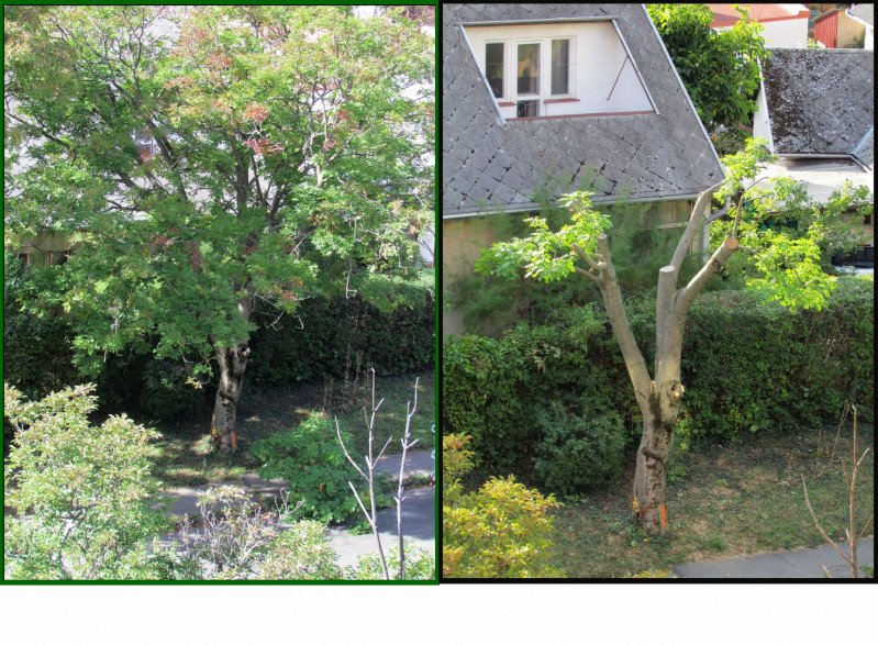 Természet átalakítás