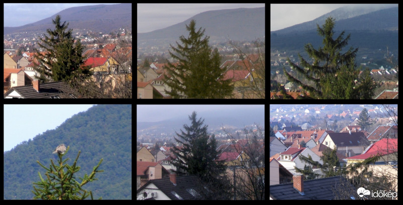 In memoriam Fenyőfa