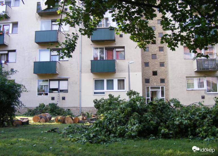 Fakivágás Uránvárosban