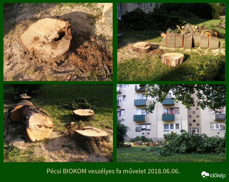 Fakivágás Uránvárosban