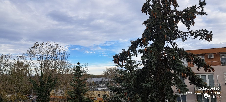 Észlelési fényképek