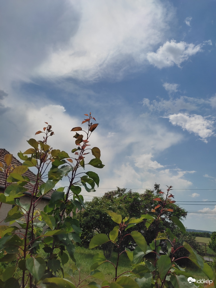 Észlelési fényképek