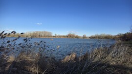 Budapest XVI.ker - Cinkota