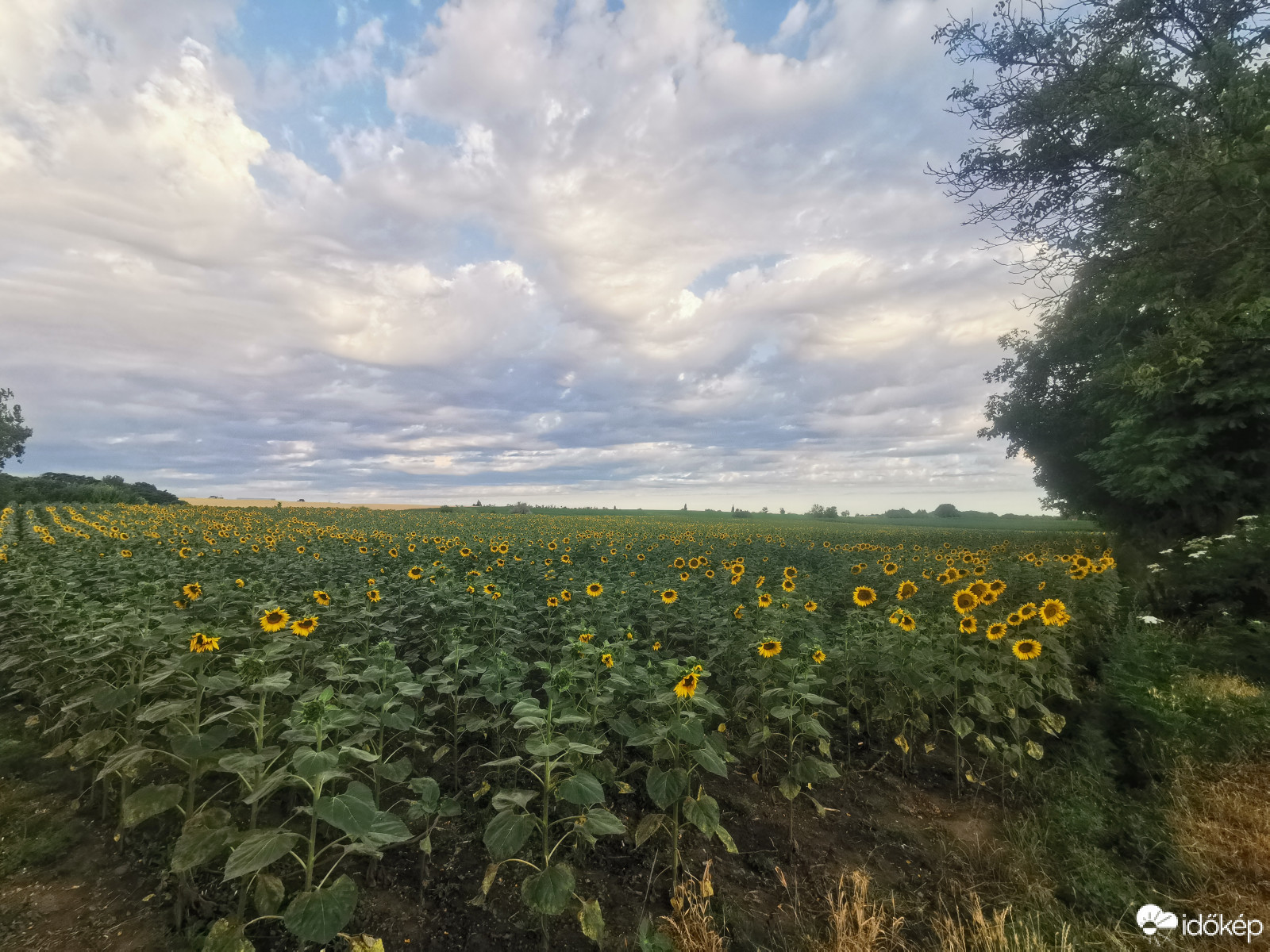 Észlelési fényképek