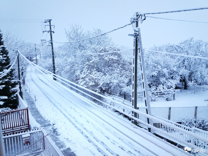 Észlelési fényképek