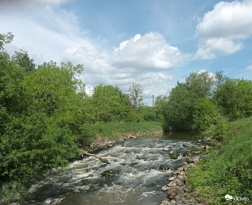 The river flowed fast