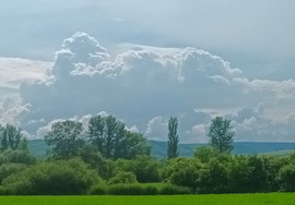 Congested cumulus 