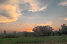 Wispy skies 